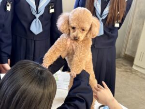 獣医師